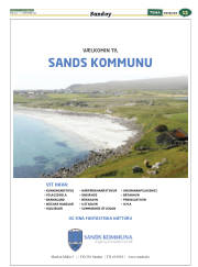 Síða 37