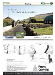 Síða 41