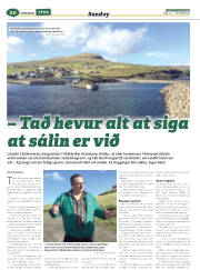 Síða 44