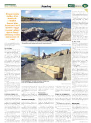 Síða 45