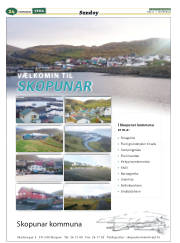 Síða 48