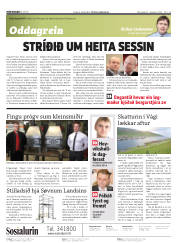 Síða 2