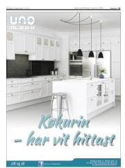 Síða 11