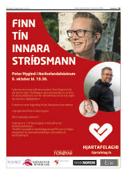 Síða 13