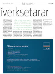 Síða 17