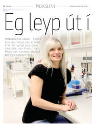 Síða 20