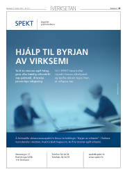 Síða 25