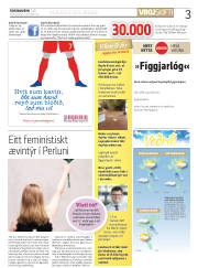 Síða 3