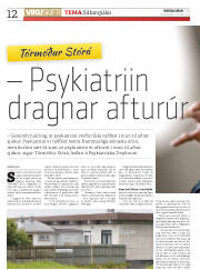 Síða 12