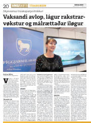 Síða 20
