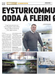 Síða 22