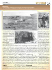 Síða 25