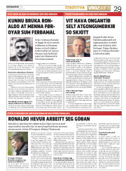 Síða 29