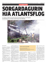 Síða 3