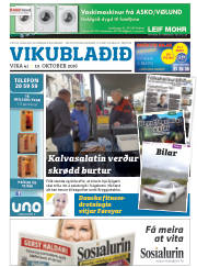 Síða 25