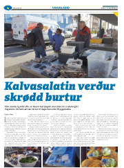 Síða 28