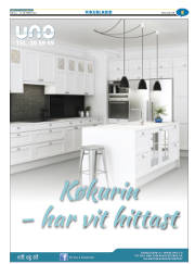 Síða 29