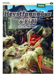 Síða 33
