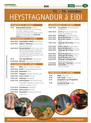 Síða 35