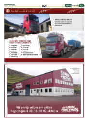 Síða 37