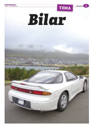 Síða 41