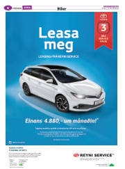 Síða 42