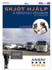 Síða 43