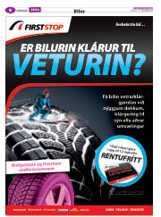 Síða 46