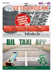 Síða 51