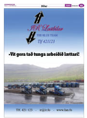 Síða 53