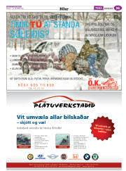 Síða 61