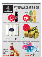 Síða 3