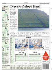 Síða 15