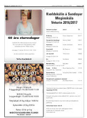 Síða 27
