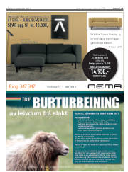 Síða 29