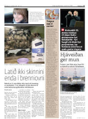 Síða 31