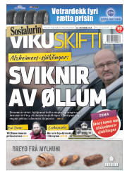 Síða 1