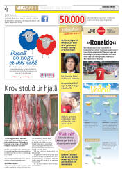 Síða 4