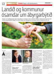 Síða 12