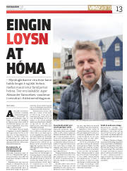 Síða 13