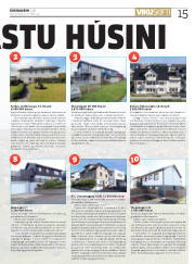 Síða 15