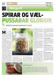 Síða 16