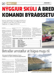 Síða 20