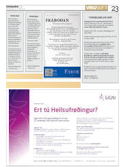 Síða 23