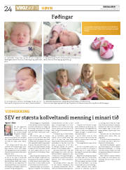 Síða 24