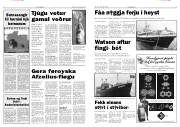 Síða 4
