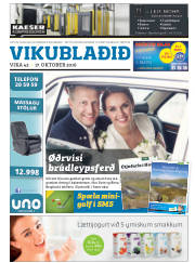 Síða 25