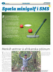Síða 30