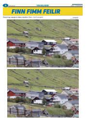 Síða 32