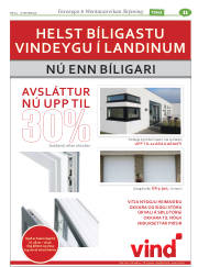 Síða 35